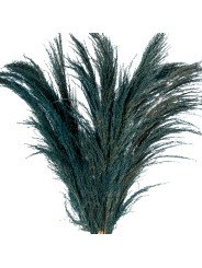 Rama Caña Natural Azul