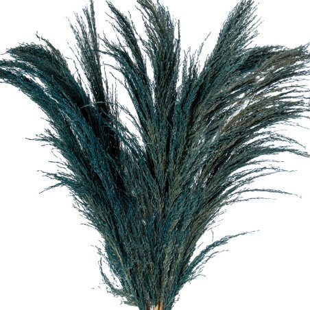 Rama Caña Natural Azul