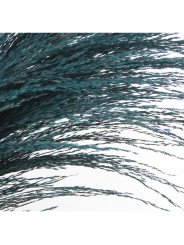 Rama Caña Natural Azul