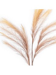 Rama Plumas Marron Poliéster