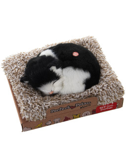 Peluche C/sonido Gato Mini