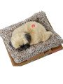 Peluche C/sonido Pug Mini