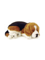 Peluche con Movimiento Perro Beagle