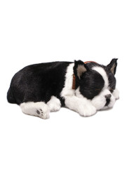 Peluche con Movimiento Perro Boston Terrier