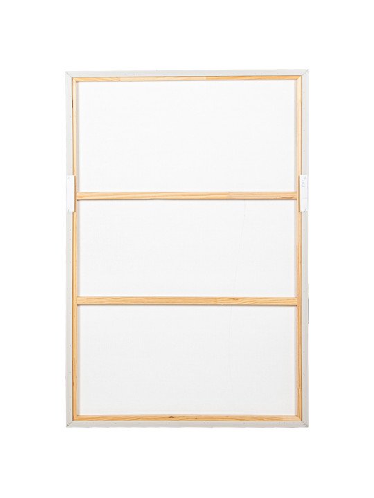 Cuadro Lienzo Impreso Abstracto