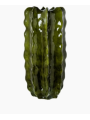 Macetero Cactus 90cm Cerámica Verde Oscuro Brillo 90x35cm