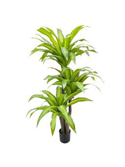 Planta Artificial Dracaena 180cm