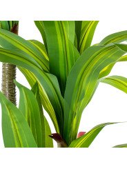 Planta Artificial Dracaena 180cm