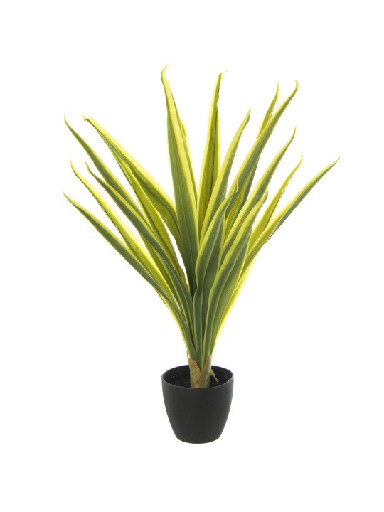 Planta Artificial Tronco de Brasil 75cm