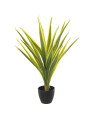 Planta Artificial Tronco de Brasil 75cm