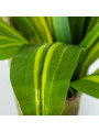 Planta Artificial Dracaena 130cm